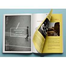 Fancy Paper Magazine Book for Wholesale